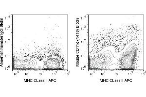 C57Bl/6 splenocytes were stained with APC MHC CLass II and 0. (CD11c Antikörper  (Biotin))