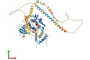 Protein Structure (PS) image for NIMA (Never In Mitosis Gene A)-Related Kinase 11 (NEK11) (AA 1-645) protein (His tag) (ABIN7549694)
