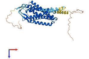 NPFFR2 Protein (AA 1-417) (His tag)