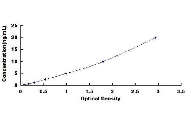 SYNPO2 ELISA Kit