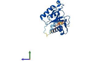 AlphaFold protein structure predicition of Human Recombinant PGPEP1L Protein, UniprotID A6NFU8