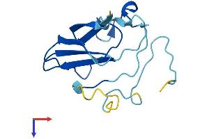 AlphaFold protein structure predicition of Human Recombinant MPTX1 Protein, UniprotID A8MV57