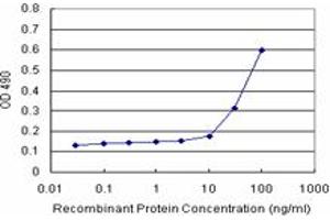 Sandwich ELISA detection sensitivity ranging from 10 ng/mL to 100 ng/mL. (NQO2 (Human) Matched Antibody Pair)