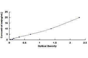 Typical standard curve (CD81 ELISA Kit)