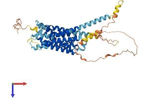 Dopamine d2 Receptor Protein (AA 1-443) (His tag)