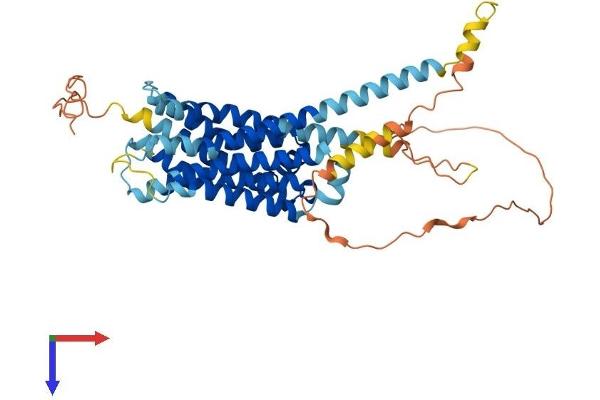 Dopamine d2 Receptor Protein (AA 1-443) (His tag)