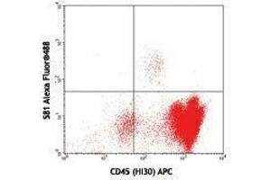 Flow Cytometry (FACS) image for anti-CD34 (CD34) antibody (Alexa Fluor 488) (ABIN2657407) (CD34 Antikörper  (Alexa Fluor 488))