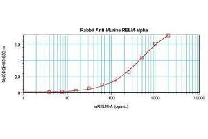 Image no. 4 for anti-RELM alpha antibody (ABIN465191) (RELM alpha Antikörper)