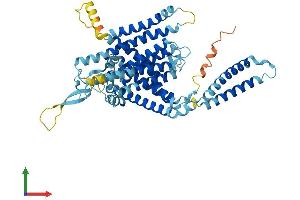 Protein Structure (PS) image for LMBR1 Domain Containing 1 (LMBRD1) (AA 1-537) protein (His tag) (ABIN7559427)