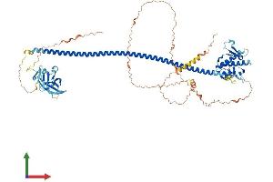 AlphaFold protein structure predicition of Human Recombinant UVRAG Protein, UniprotID Q9P2Y5 (UVRAG Protein (AA 1-699) (His tag))