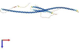 CEP57L1 Protein (AA 1-400) (His tag)