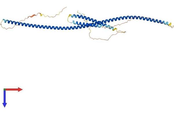 CEP57L1 Protein (AA 1-400) (His tag)