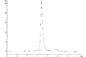Size-exclusion chromatography-High Pressure Liquid Chromatography (SEC-HPLC) image for Interleukin-17 A/F Heterodimer (IL-17A/F) (AA 26-158) protein (His-Avi Tag,Biotin) (ABIN7274969)