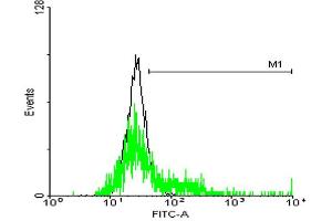 FACS analysis of negative control 293 cells (Black) and S1PR3 expressing 293 cells (Green) using S1PR3 purified MaxPab mouse polyclonal antibody. (S1PR3 Antikörper  (AA 1-378))