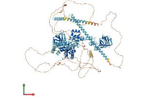 Protein Structure (PS) image for Eukaryotic Translation Initiation Factor 5B (EIF5B) (AA 1-1220) protein (His tag) (ABIN7554148)