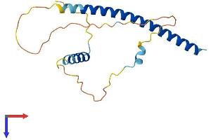 DDIT3 Protein (AA 1-168) (His tag)
