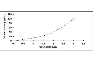 Typical standard curve (RNASE7 ELISA Kit)