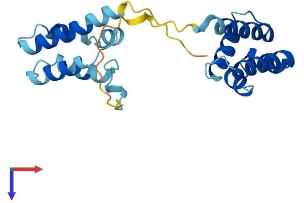 TCEANC2 Protein (AA 1-208) (His tag)