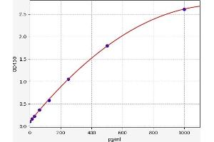 Interleukin 13 (IL13) ELISA Kit