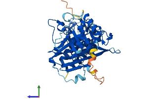 Protein Structure (PS) image for Inositol Polyphosphate-1-Phosphatase (INPP1) (AA 1-396) protein (His tag) (ABIN7563338)