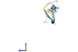 Protein Structure (PS) image for Macrophage Scavenger Receptor 1 (MSR1) (AA 1-451) protein (His tag) (ABIN7549543)
