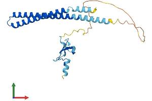 AlphaFold protein structure predicition of Human Recombinant ING5 Protein, UniprotID Q8WYH8 (ING5 Protein (AA 1-240) (His tag))