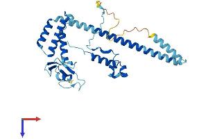 MNAT1 Protein (AA 1-309) (His tag)