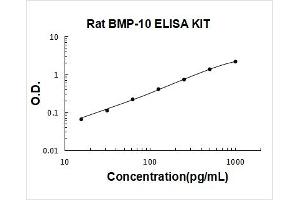 Bone Morphogenetic Protein 10 (BMP10) ELISA Kit