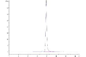 Size-exclusion chromatography-High Pressure Liquid Chromatography (SEC-HPLC) image for Butyrophilin, Subfamily 3, Member A1 (BTN3A1) (AA 30-254) protein (Fc Tag) (ABIN7274006)