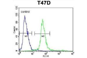 KCTD12 Antibody (Center) (ABIN653221 and ABIN2842756) flow cytometric analysis of T47D cells (right histogram) compared to a negative control (left histogram). (KCTD12 Antikörper  (AA 242-269))