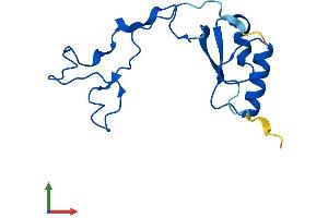 AlphaFold protein structure predicition of Mouse Recombinant Rpl32-ps Protein, UniprotID P17932