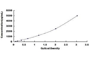 Bcl-2 ELISA Kit