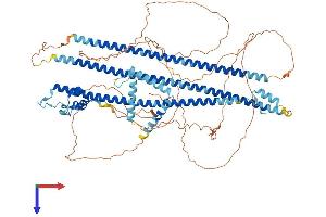 DZIP1 Protein (AA 1-852) (His tag)