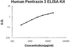 Human PTX3/Pentraxin 3 PicoKine ELISA Kit standard curve