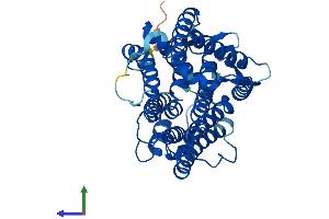 Protein Structure (PS) image for Transmembrane 7 Superfamily Member 2 (TM7SF2) (AA 1-418) protein (His tag) (ABIN7547366)