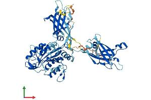 Protein Structure (PS) image for Copine VI (CPNE6) (AA 1-557) protein (His tag) (ABIN7546830)