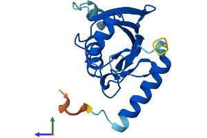 Protein Structure (PS) image for Ubiquitin-Conjugating Enzyme E2Q Family-Like 1 (UBE2QL1) (AA 1-161) protein (His tag) (ABIN7561850)