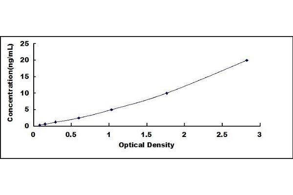 CYP2C19 ELISA Kit