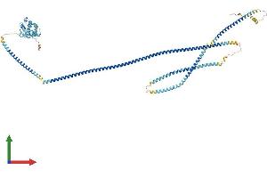 Protein Structure (PS) image for Hook Homolog 1 (HOOK1) (AA 1-728) protein (His tag) (ABIN7564366)