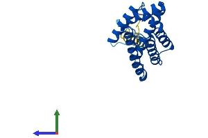 Protein Structure (PS) image for Tumor Necrosis Factor, alpha-Induced Protein 8 (TNFAIP8) (AA 1-198) protein (His tag) (ABIN7544469)