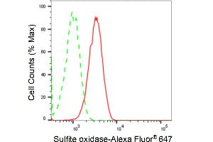 Flow cytometric analysis of Sulfite oxidase expression in HT- cells using Sulfite oxidase antibody (ABIN7800456), 1:2,000).