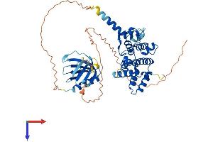 ARHGAP15 Protein (AA 1-481) (His tag)