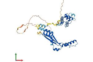 Protein Structure (PS) image for Death Effector Domain Containing (DEDD) (AA 1-318) protein (His tag) (ABIN7547037)