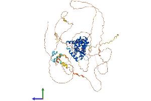 Protein Structure (PS) image for T-Cell Activation rho GTPase-Activating Protein (TAGAP) (AA 1-731) protein (His tag) (ABIN7544158)