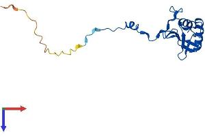 MRPL49 Protein (AA 1-166) (His tag)
