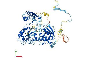 Protein Structure (PS) image for Diphthamide Biosynthesis Protein 2 (DPH2) (AA 1-489) protein (His tag) (ABIN7547230)