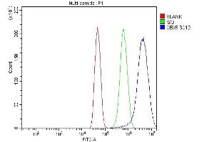 Flow Cytometry analysis of U251 cells using anti-HP1 alpha/CBX5 antibody (ABIN7599057). (CBX5 Antikörper  (AA 1-191))