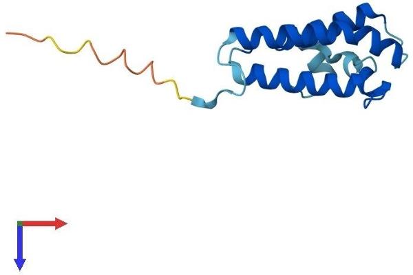 NDUFA6 Protein (AA 1-131) (His tag)