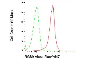 Flow cytometric analysis of RGS9 expression in SH-SY5Y cells using RGS9 antibody (ABIN7800165), 1:2,000). (Rekombinanter RGS Antikörper)