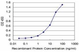 Detection limit for recombinant GST tagged AGT is approximately 1ng/ml as a capture antibody. (AGT Antikörper  (AA 376-485))